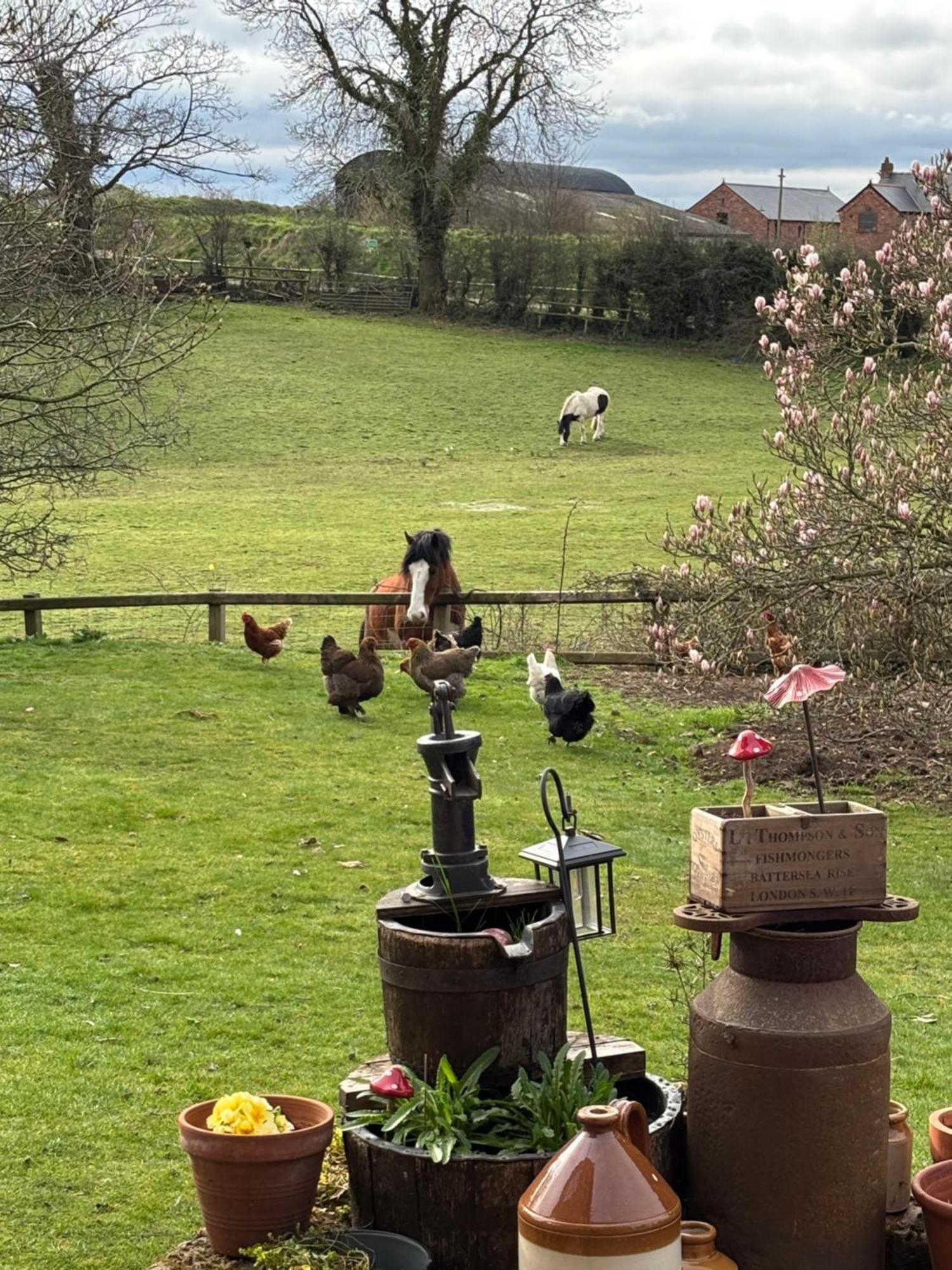 Bumbleberry Cottage Gresford ภายนอก รูปภาพ